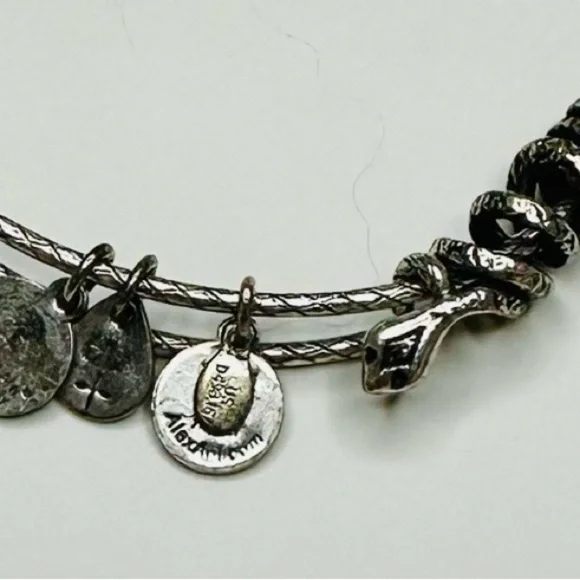 Alex & Ani Snake Charm Expandable Bangle Bracelet - Picture 2 of 2